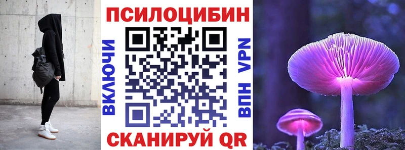 закладки  Тетюши  Галлюциногенные грибы MAGIC MUSHROOMS 